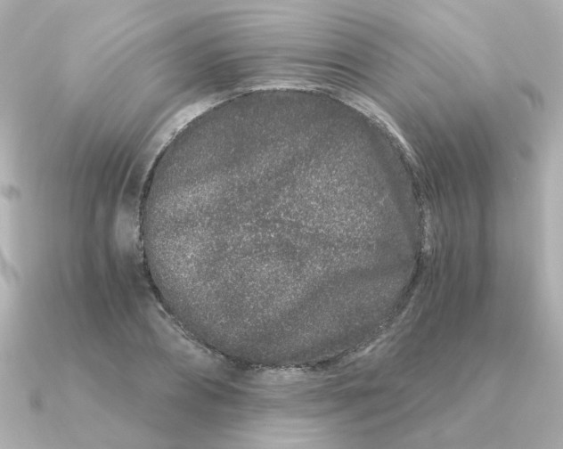 X0000090720882200708101551