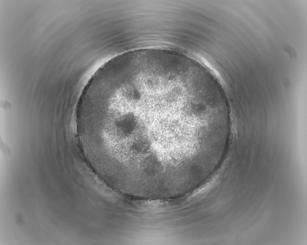 X0000090720883200708101551