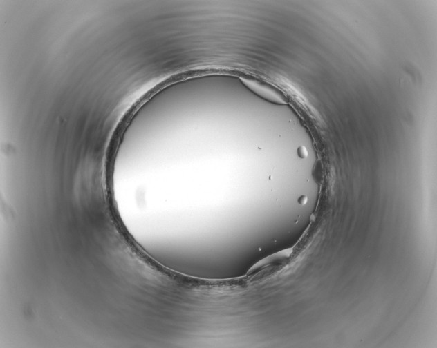 X0000090720884200708101551