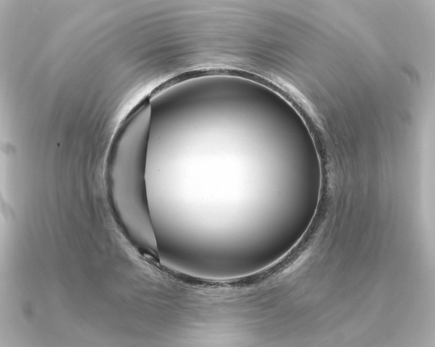 X0000090720885200708101551