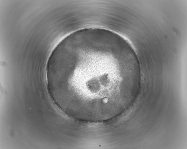 X0000090720887200708101551