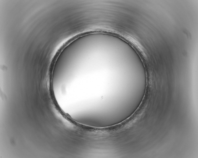 X0000090720888200708101551