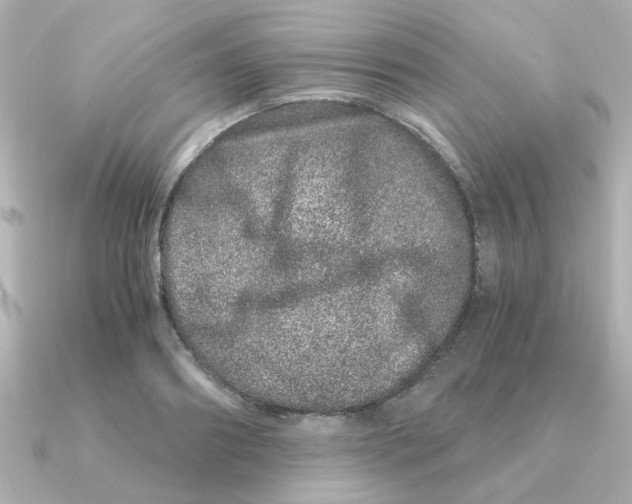 X0000090720890200708101551