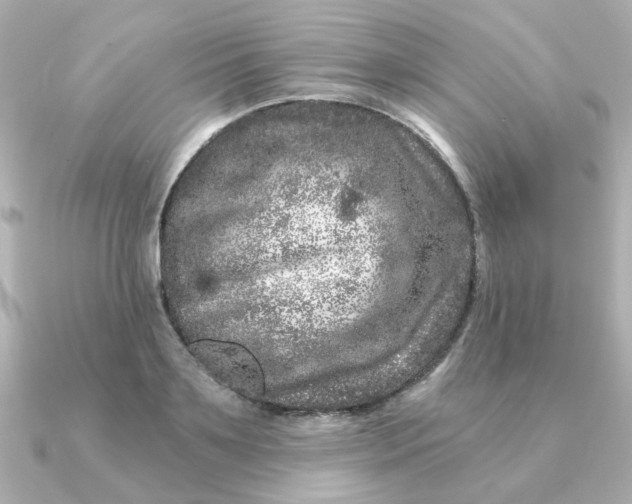 X0000090720891200708101551