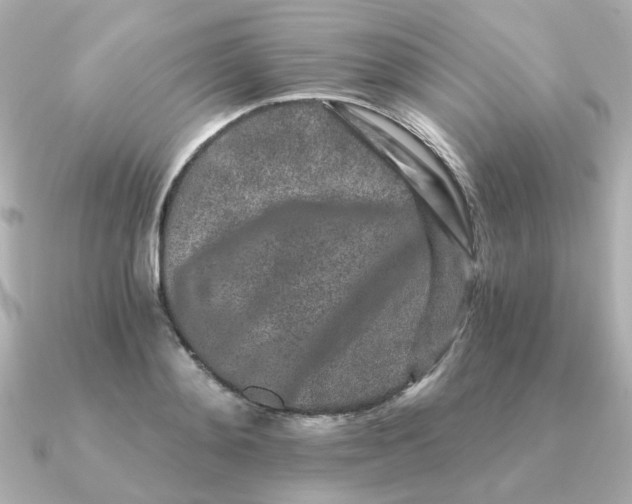 X0000090720892200708101551