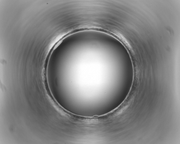 X0000090720893200708101551