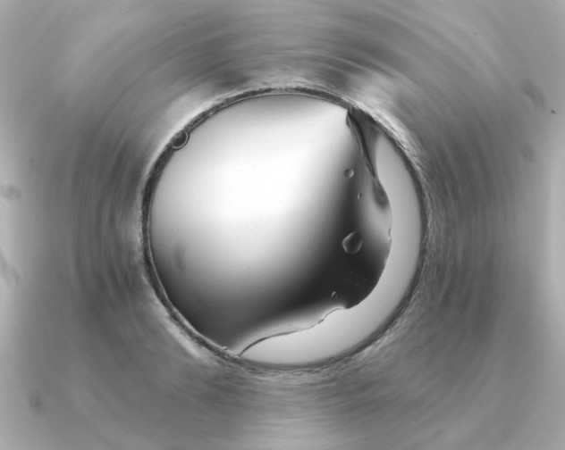 X0000090720894200708101551