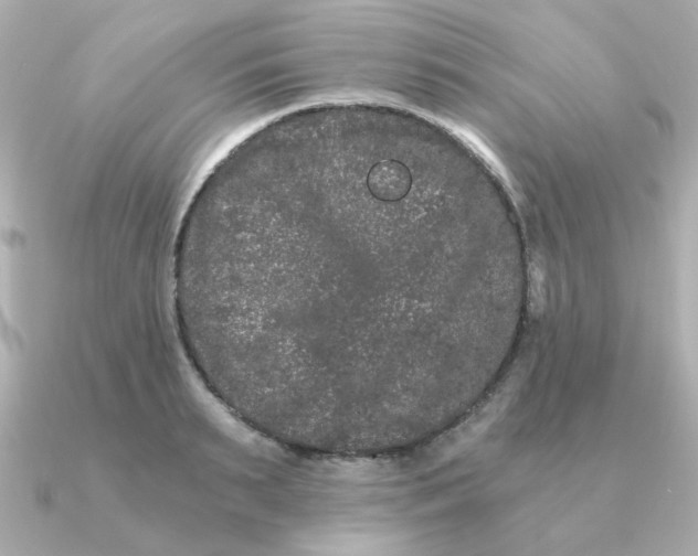 X0000090720895200708101551