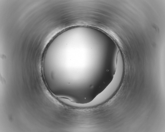 X0000090720896200708101551