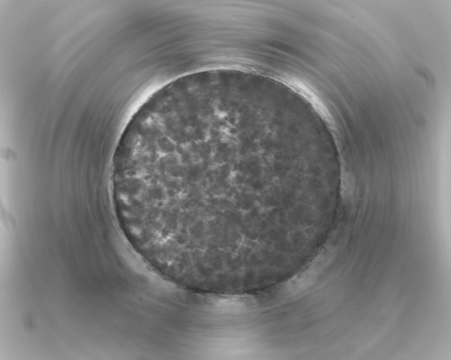 X0000090720899200708101551