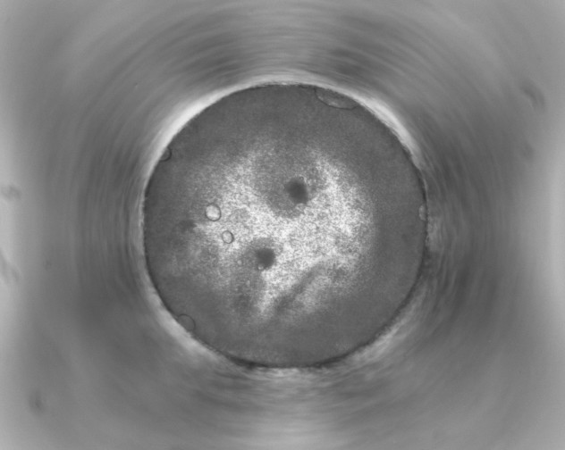 X0000090720903200708101551