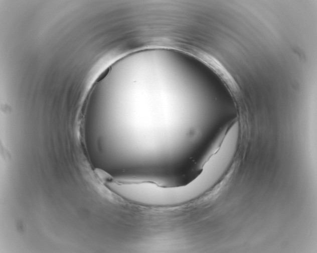 X0000090720908200708101551