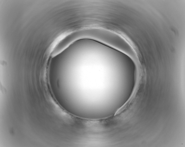 X0000090720909200708101551