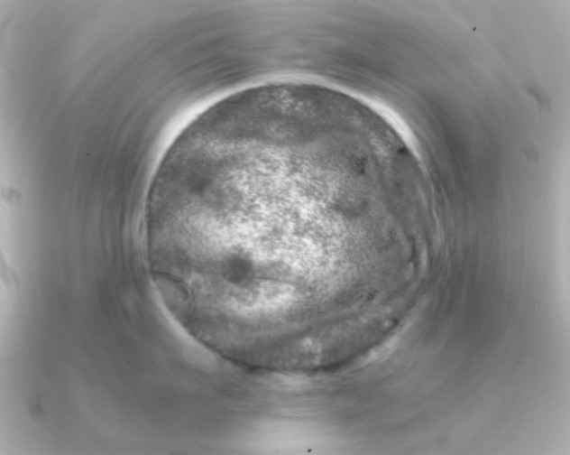 X0000090720911200708101551