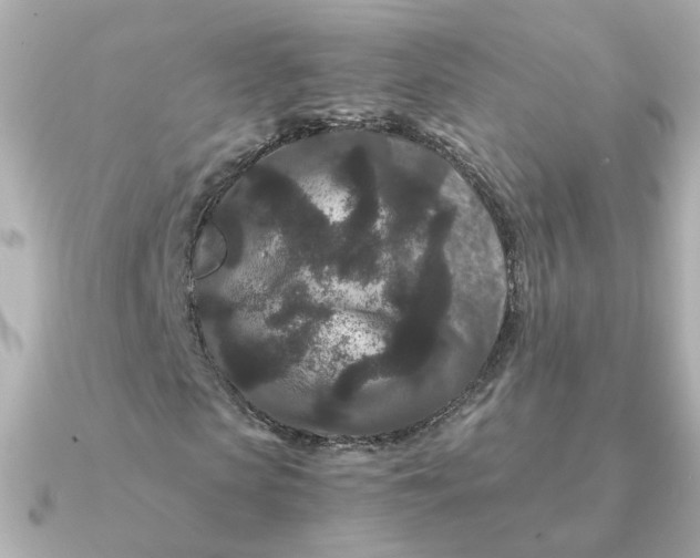 X0000090720913200708101550