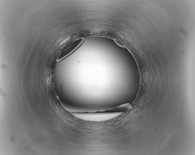X0000090720914200708101550