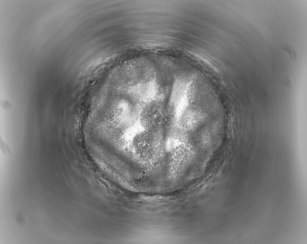 X0000090720917200708101550