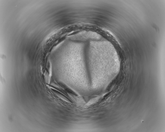 X0000090720919200708101550