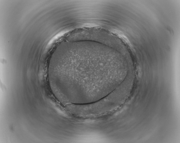 X0000090720920200708101550