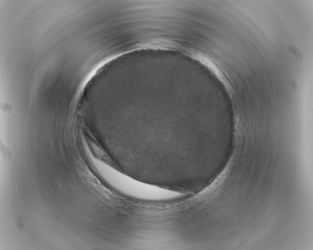 X0000090720923200708101550