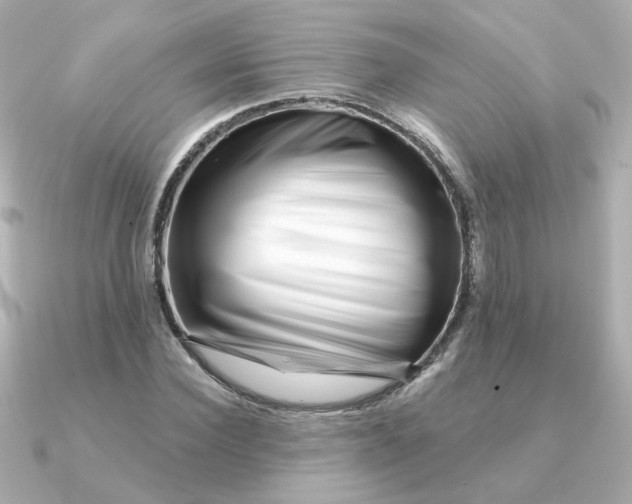 X0000090720924200708101550