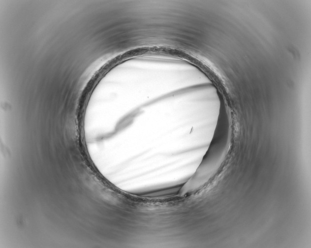 X0000090720927200708101550
