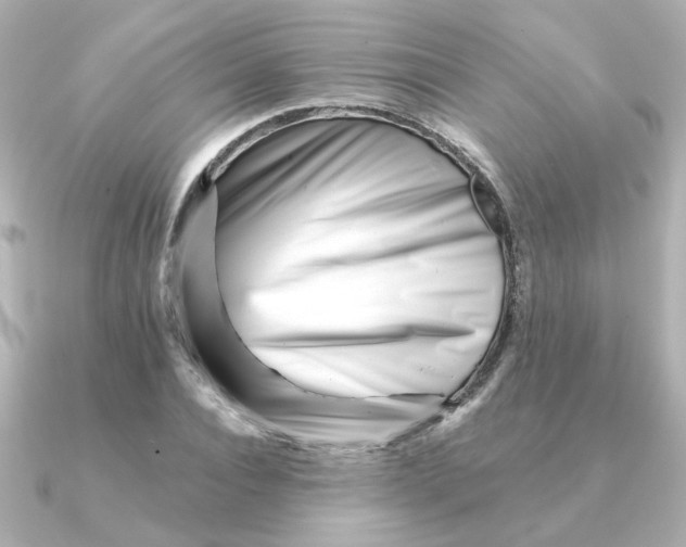 X0000090720928200708101550