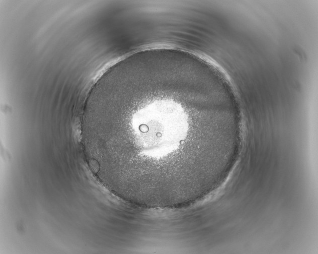 X0000090720929200708101550