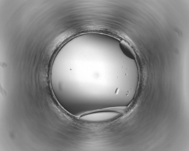 X0000090720930200708101550