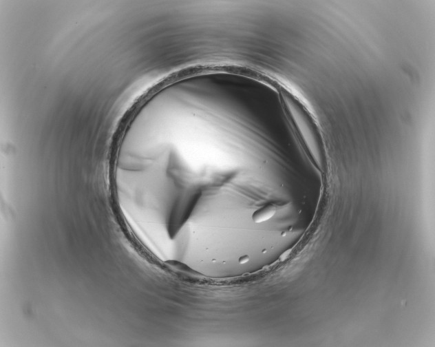X0000090720935200708101550