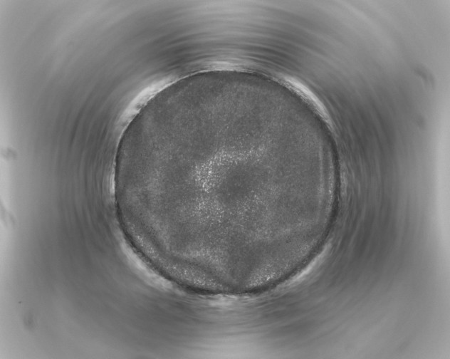 X0000090720938200708101550