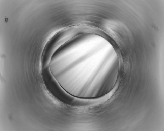 X0000090720940200708101550