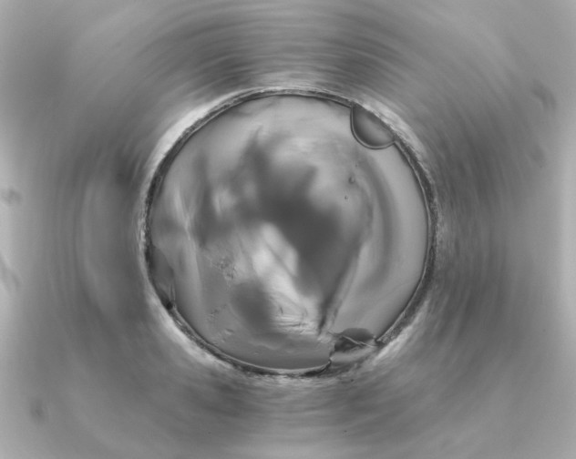 X0000090720941200708101550
