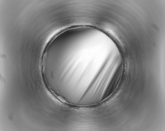 X0000090720942200708101550