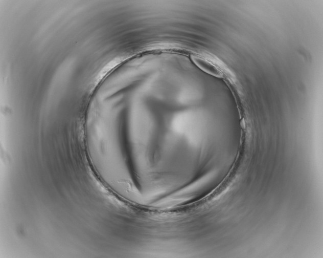 X0000090720945200708101550