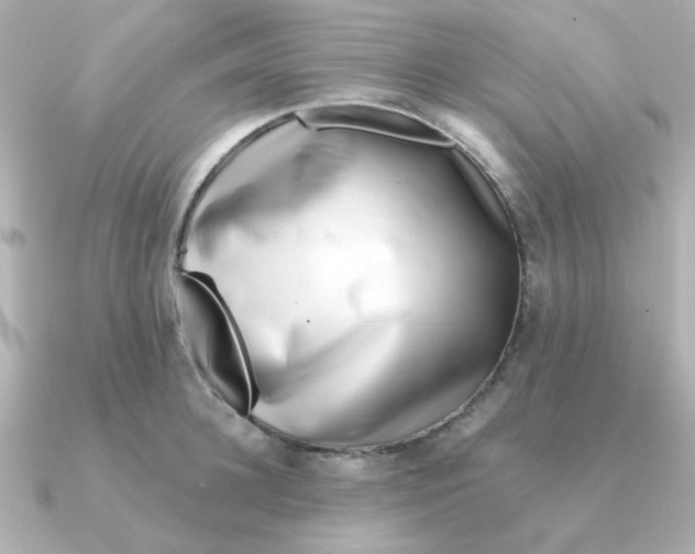 X0000090720948200708101550