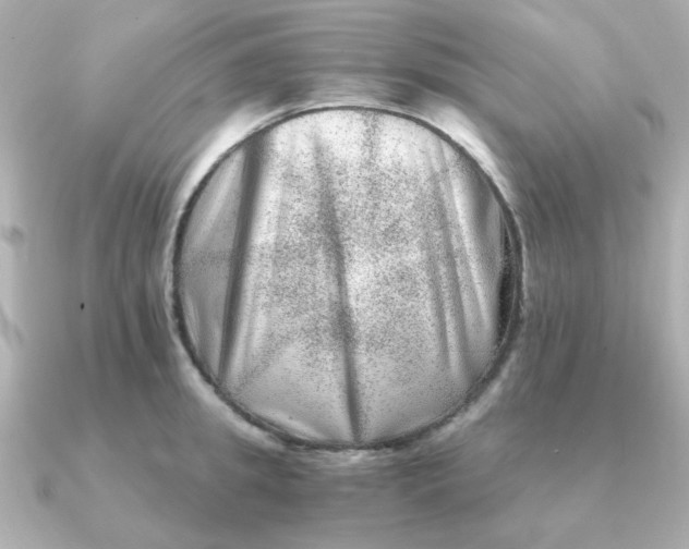 X0000090720949200708101550