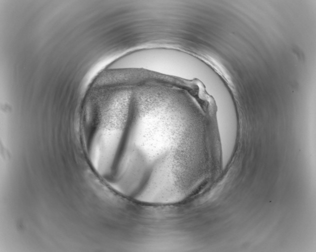 X0000090720952200708101550