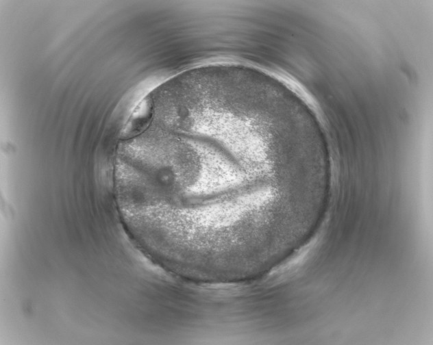X0000090720953200708101550