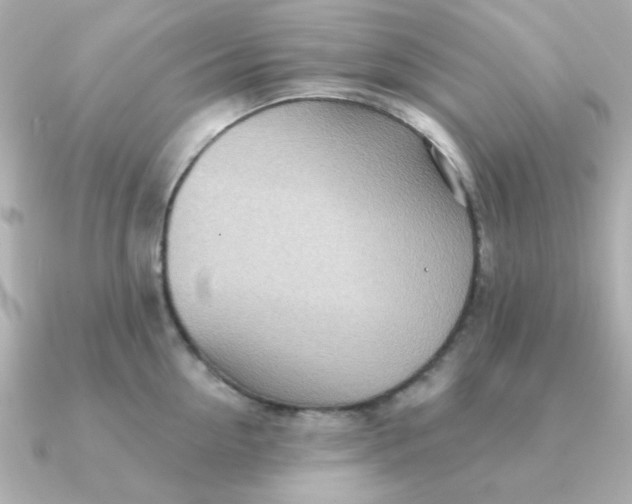 X0000090720954200708101550