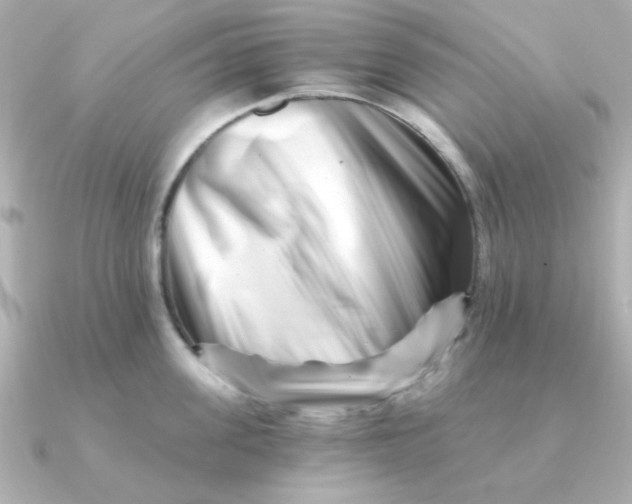 X0000090720955200708101550