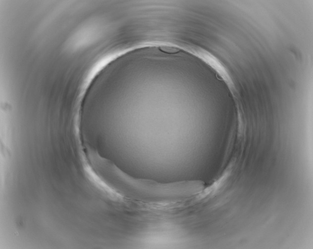 X0000090720958200708101551