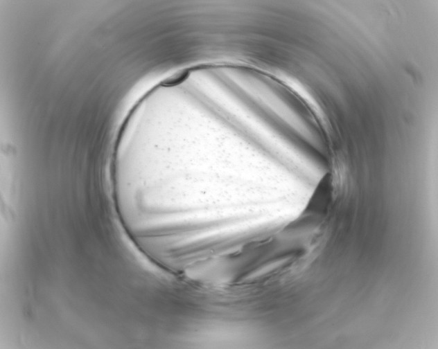 X0000090720959200708101551