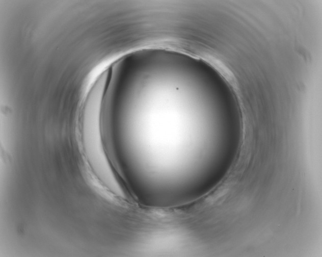 X0000090720960200708101551