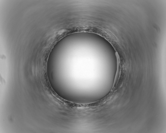 X0000090720961200708101550