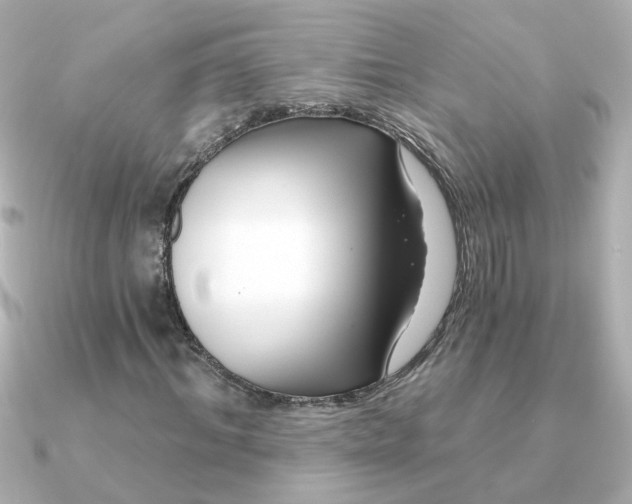 X0000090720964200708101550