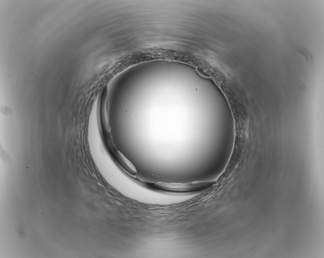 X0000090720965200708101550