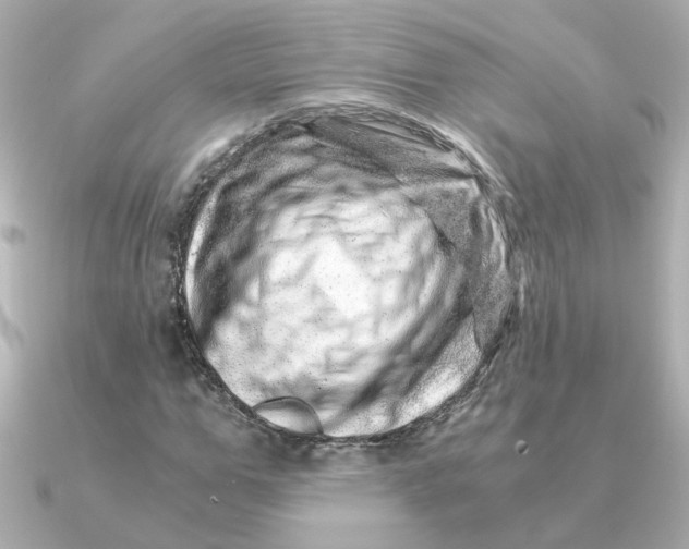 X0000090720967200708101550