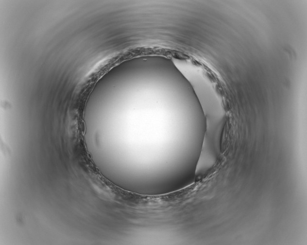 X0000090720968200708101550