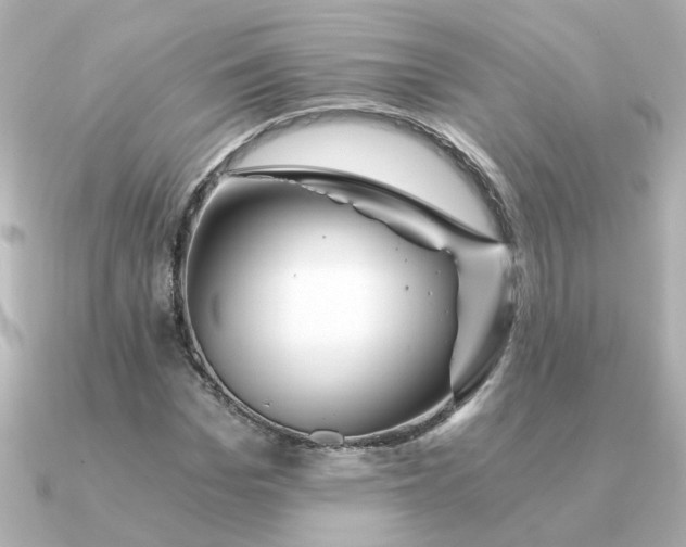 X0000090720969200708101550